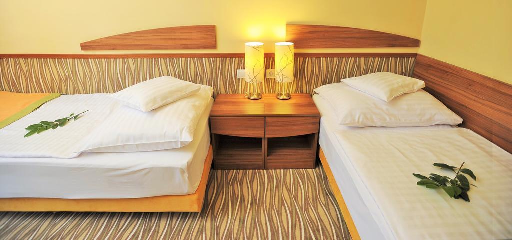 Park Hotel Gyula Habitación foto