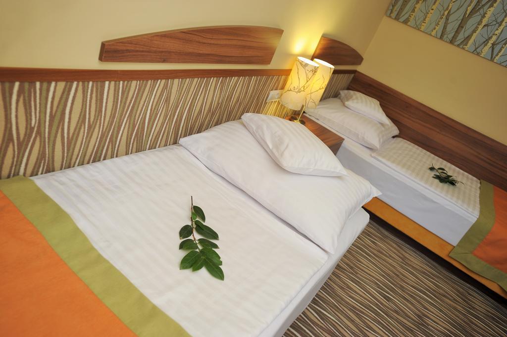 Park Hotel Gyula Habitación foto